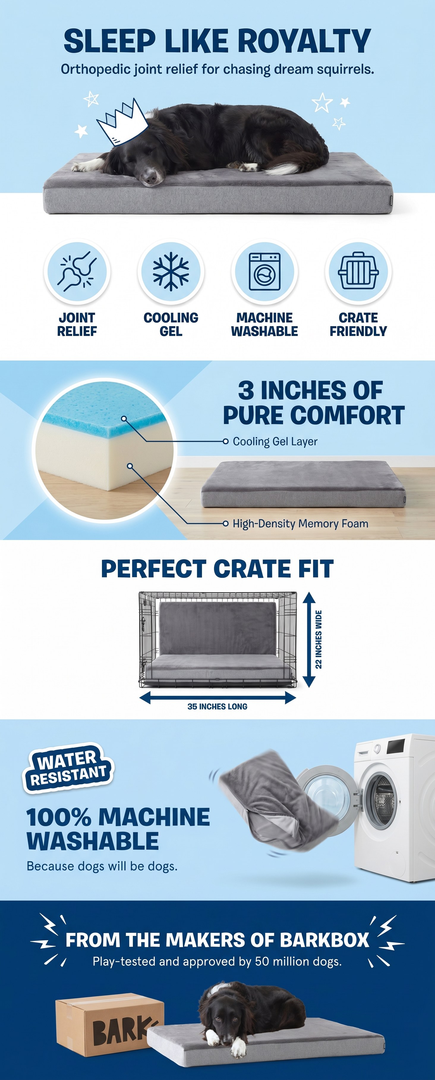 BarkBox Amazon A+ Premium desktop preview